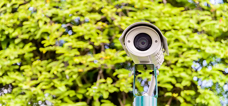 Advanced Surveillance Solutions for Every Need in San Fernando