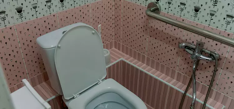 Meeting Diverse Needs With Accessible Restroom Solutions in San Fernando, CA